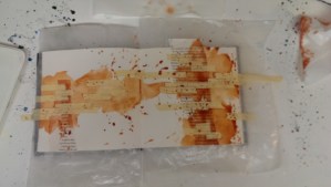 Step three:  A splashy layer of Daniel Smith quin burnt orange.